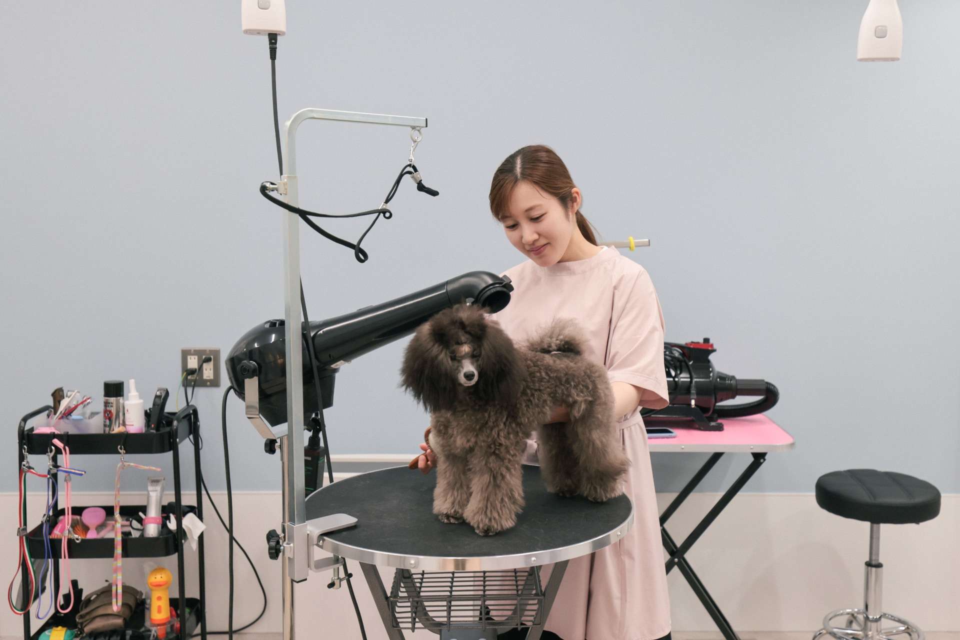 Dog salon Will&Tiar様 新装工事