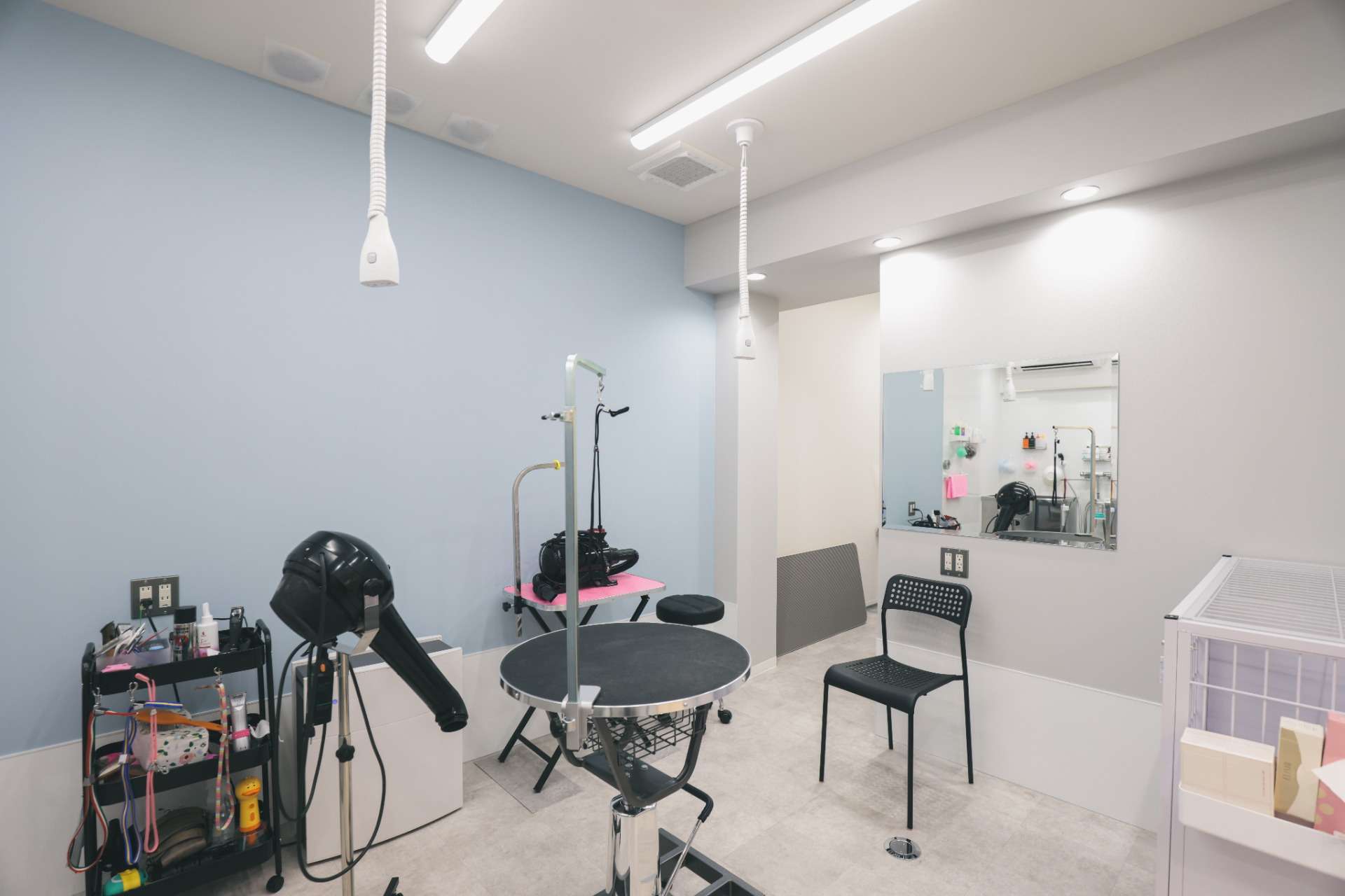 Dog salon Will&Tiar様 新装工事