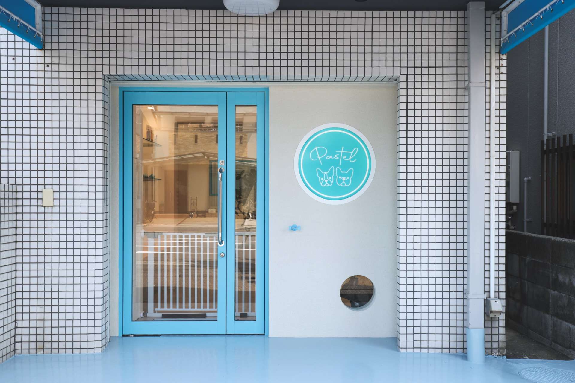 Dog Salon Pastel様 新装工事